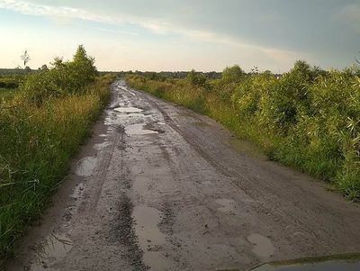 Дорога в Кудрявцево